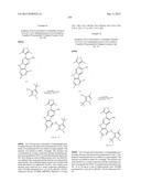 9H-PYRIMIDO[4,5-B]INDOLES AND RELATED ANALOGS AS BET BROMODOMAIN     INHIBITORS diagram and image