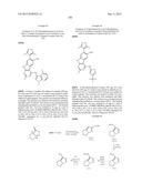 9H-PYRIMIDO[4,5-B]INDOLES AND RELATED ANALOGS AS BET BROMODOMAIN     INHIBITORS diagram and image