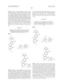 9H-PYRIMIDO[4,5-B]INDOLES AND RELATED ANALOGS AS BET BROMODOMAIN     INHIBITORS diagram and image