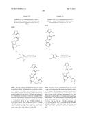 9H-PYRIMIDO[4,5-B]INDOLES AND RELATED ANALOGS AS BET BROMODOMAIN     INHIBITORS diagram and image