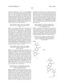 9H-PYRIMIDO[4,5-B]INDOLES AND RELATED ANALOGS AS BET BROMODOMAIN     INHIBITORS diagram and image