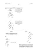 9H-PYRIMIDO[4,5-B]INDOLES AND RELATED ANALOGS AS BET BROMODOMAIN     INHIBITORS diagram and image