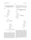 9H-PYRIMIDO[4,5-B]INDOLES AND RELATED ANALOGS AS BET BROMODOMAIN     INHIBITORS diagram and image