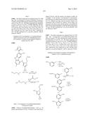 9H-PYRIMIDO[4,5-B]INDOLES AND RELATED ANALOGS AS BET BROMODOMAIN     INHIBITORS diagram and image