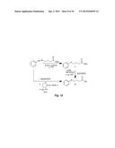 Class of HDAC Inhibitors Expands the Renal Progenitor Cells Population and     Improves the Rate of Recovery from Acute Kidney Injury diagram and image