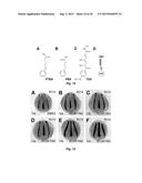 Class of HDAC Inhibitors Expands the Renal Progenitor Cells Population and     Improves the Rate of Recovery from Acute Kidney Injury diagram and image