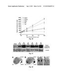 Class of HDAC Inhibitors Expands the Renal Progenitor Cells Population and     Improves the Rate of Recovery from Acute Kidney Injury diagram and image