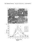 Class of HDAC Inhibitors Expands the Renal Progenitor Cells Population and     Improves the Rate of Recovery from Acute Kidney Injury diagram and image