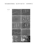 PVC-Based Metallopolymer Nanocomposites, and Coating Composition and     Coating Film Comprising Same diagram and image