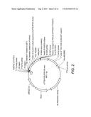 POLYMERASE COMPOSITIONS AND METHODS diagram and image