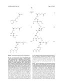 POLYMERASE COMPOSITIONS AND METHODS diagram and image