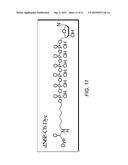 POLYMERASE COMPOSITIONS AND METHODS diagram and image