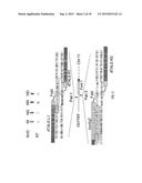 GENETICALLY MODIFIED PLANTS WITH RESISTANCE TO XANTHOMONAS AND OTHER     BACTERIAL PLANT PATHOGENS diagram and image