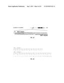 GENETICALLY MODIFIED PLANTS WITH RESISTANCE TO XANTHOMONAS AND OTHER     BACTERIAL PLANT PATHOGENS diagram and image