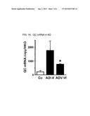 GLUTAMINYL CYCLASE AS A DIAGNOSTIC/PROGNOSTIC INDICATOR FOR     NEURODEGENERATIVE DISEASES diagram and image