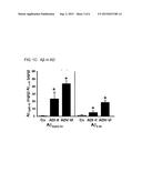 GLUTAMINYL CYCLASE AS A DIAGNOSTIC/PROGNOSTIC INDICATOR FOR     NEURODEGENERATIVE DISEASES diagram and image