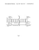 OPTICAL CIRCUIT diagram and image