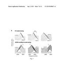 Terahertz Mixer and Optical Fiber Coupled Terahertz Mixer diagram and image