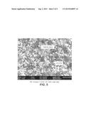 MODIFIED LITHIUM COBALT OXIDE SPUTTERING TARGETS diagram and image