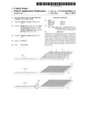 GETTER STRUCTURE AND METHOD FOR FORMING SUCH STRUCTURE diagram and image