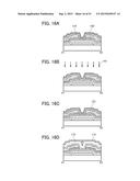 SEMICONDUCTOR DEVICE, DISPLAY DEVICE INCLUDING THE SEMICONDUCTOR DEVICE,     DISPLAY MODULE INCLUDING THE DISPLAY DEVICE, AND ELECTRONIC APPLIANCE     INCLUDING THE SEMICONDUCTOR DEVICE, THE DISPLAY DEVICE, AND THE DISPLAY     MODULE diagram and image