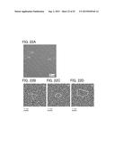 SEMICONDUCTOR DEVICE, DISPLAY DEVICE INCLUDING THE SEMICONDUCTOR DEVICE,     DISPLAY MODULE INCLUDING THE DISPLAY DEVICE, AND ELECTRONIC APPLIANCE     INCLUDING THE SEMICONDUCTOR DEVICE, THE DISPLAY DEVICE, OR THE DISPLAY     MODULE diagram and image