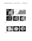 STRUCTURALLY ORDERED NANOPARTICLES, METHODS AND APPLICATIONS diagram and image