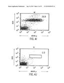 TRANSGENIC MAMMALS HAVING HUMAN IG LOCI INCLUDING PLURAL VH AND VK REGIONS     AND ANTIBODIES PRODUCED THEREFROM diagram and image