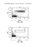 TRANSGENIC MAMMALS HAVING HUMAN IG LOCI INCLUDING PLURAL VH AND VK REGIONS     AND ANTIBODIES PRODUCED THEREFROM diagram and image