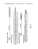 TRANSGENIC MAMMALS HAVING HUMAN IG LOCI INCLUDING PLURAL VH AND VK REGIONS     AND ANTIBODIES PRODUCED THEREFROM diagram and image