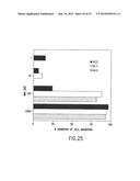 TRANSGENIC MAMMALS HAVING HUMAN IG LOCI INCLUDING PLURAL VH AND VK REGIONS     AND ANTIBODIES PRODUCED THEREFROM diagram and image