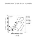 TRANSGENIC MAMMALS HAVING HUMAN IG LOCI INCLUDING PLURAL VH AND VK REGIONS     AND ANTIBODIES PRODUCED THEREFROM diagram and image