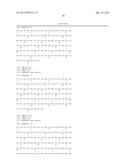 TRANSGENIC MAMMALS HAVING HUMAN IG LOCI INCLUDING PLURAL VH AND VK REGIONS     AND ANTIBODIES PRODUCED THEREFROM diagram and image