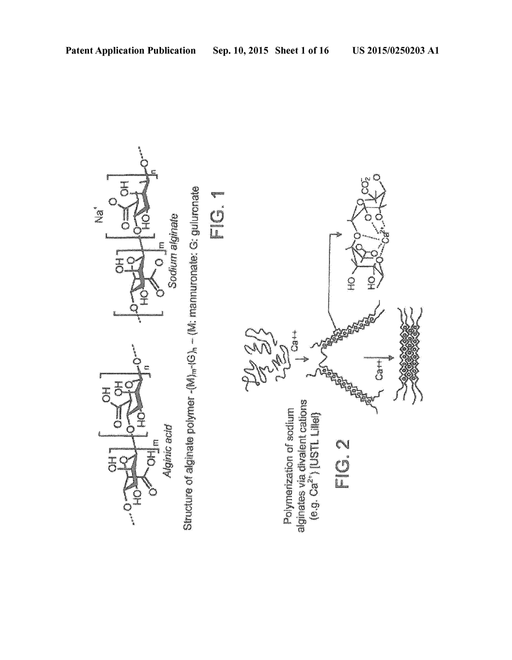 ENCLOSING MATERIALS IN NATURAL TRANSPORT SYSTEMS - diagram, schematic, and image 02