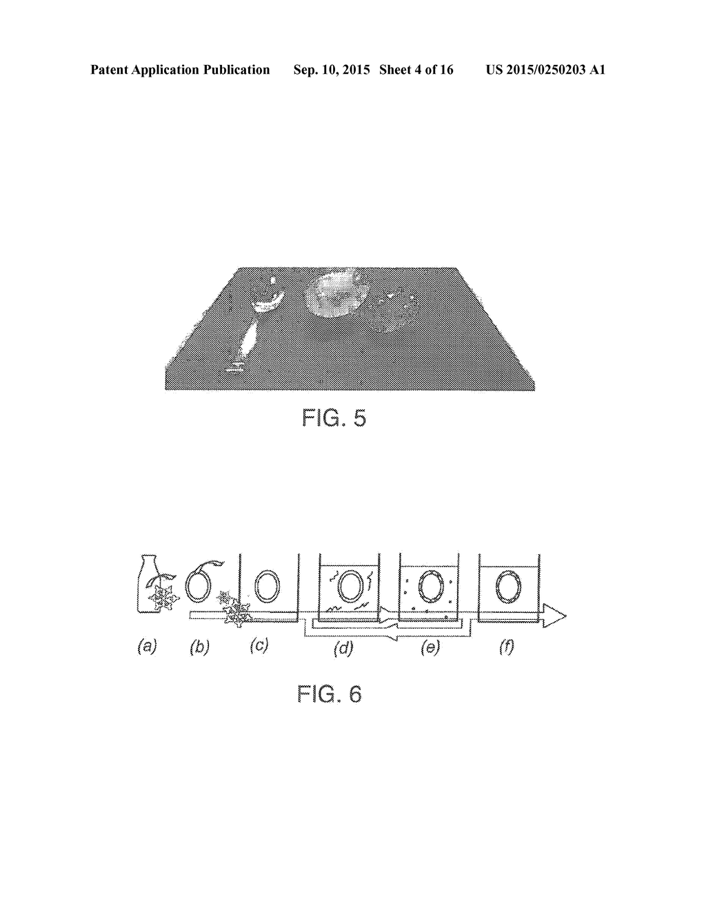 ENCLOSING MATERIALS IN NATURAL TRANSPORT SYSTEMS - diagram, schematic, and image 05