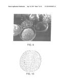 ENCLOSING MATERIALS IN NATURAL TRANSPORT SYSTEMS diagram and image