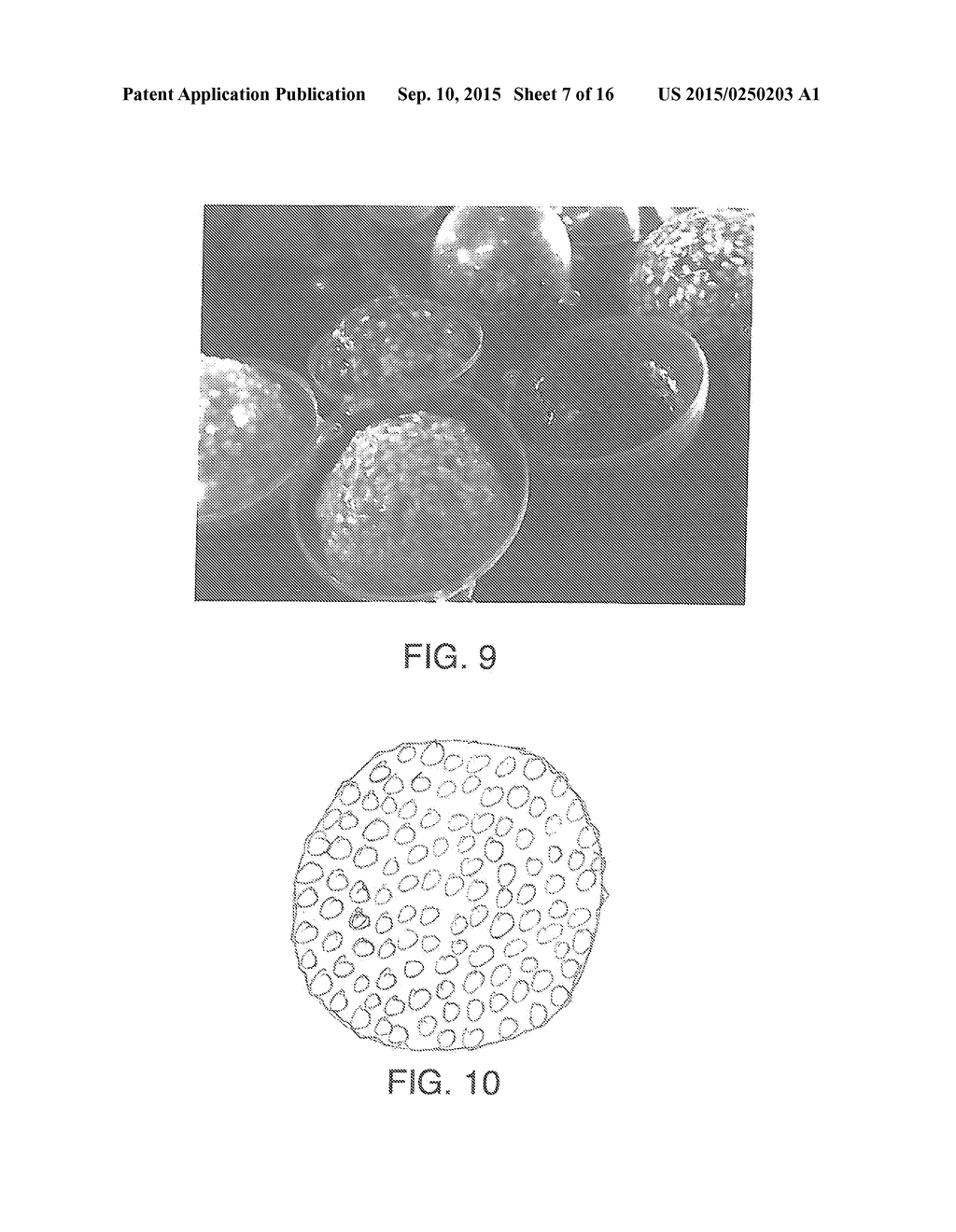 ENCLOSING MATERIALS IN NATURAL TRANSPORT SYSTEMS - diagram, schematic, and image 08