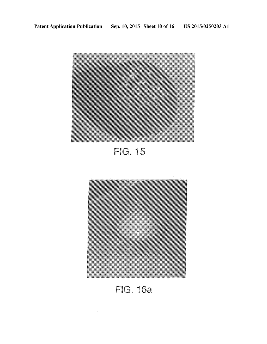 ENCLOSING MATERIALS IN NATURAL TRANSPORT SYSTEMS - diagram, schematic, and image 11