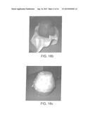 ENCLOSING MATERIALS IN NATURAL TRANSPORT SYSTEMS diagram and image