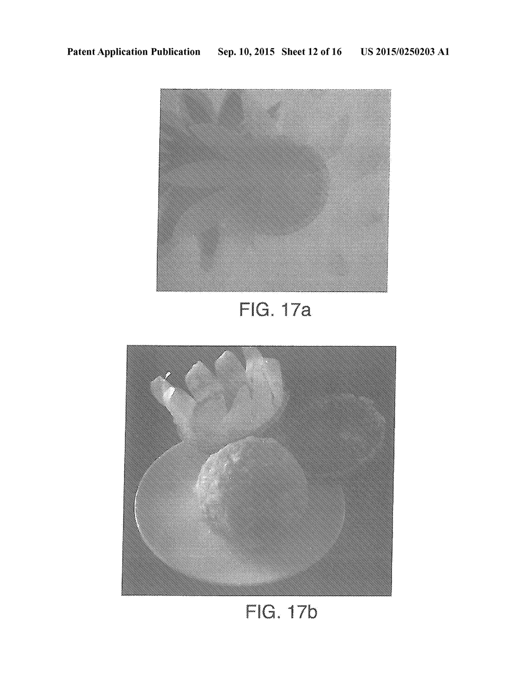 ENCLOSING MATERIALS IN NATURAL TRANSPORT SYSTEMS - diagram, schematic, and image 13