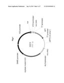 SOY PROTEIN PRODUCTS HAVING ALTERED CHARACTERISTICS diagram and image