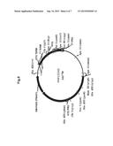 SOY PROTEIN PRODUCTS HAVING ALTERED CHARACTERISTICS diagram and image