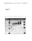 METHOD FOR PRODUCING A LIPID PARTICLE, THE LIPID PARTICLE ITSELF AND ITS     USE diagram and image