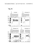 METHOD FOR PRODUCING A LIPID PARTICLE, THE LIPID PARTICLE ITSELF AND ITS     USE diagram and image