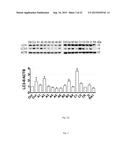 MTOR-independent activator of TFEB for autophagy enhancement and uses     thereof diagram and image