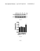 MTOR-independent activator of TFEB for autophagy enhancement and uses     thereof diagram and image