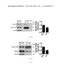 MTOR-independent activator of TFEB for autophagy enhancement and uses     thereof diagram and image