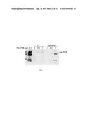 MTOR-independent activator of TFEB for autophagy enhancement and uses     thereof diagram and image