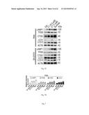 MTOR-independent activator of TFEB for autophagy enhancement and uses     thereof diagram and image