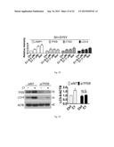 MTOR-independent activator of TFEB for autophagy enhancement and uses     thereof diagram and image